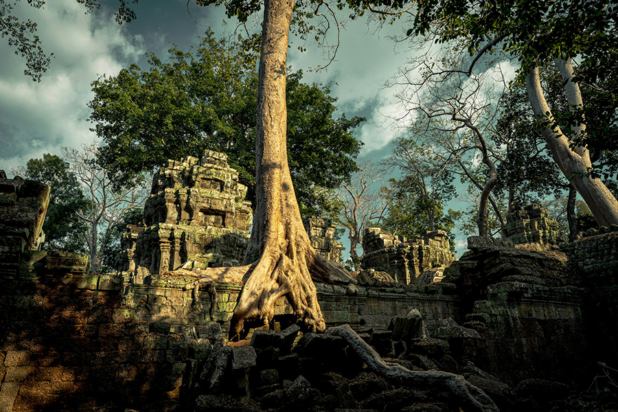 Ta Prohm, Cambodia