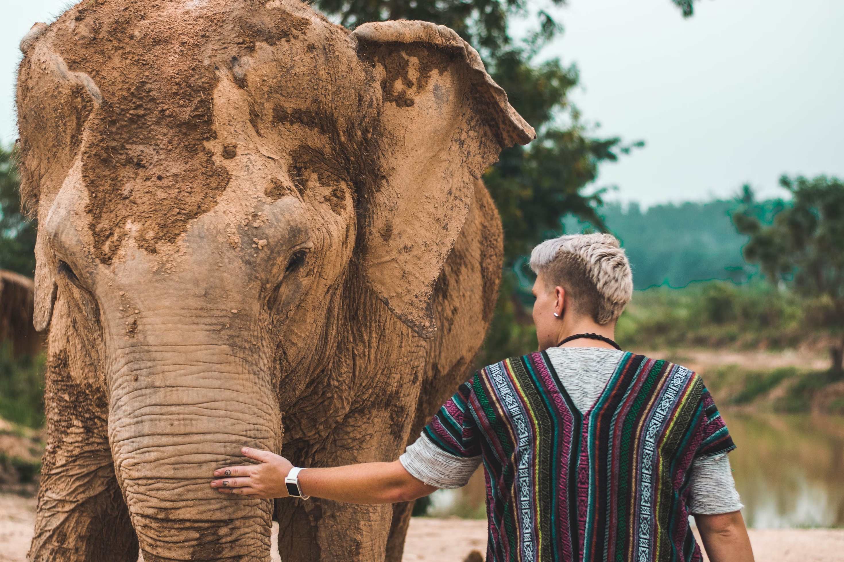 Chiang Mai